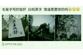 理塘企业清欠服务